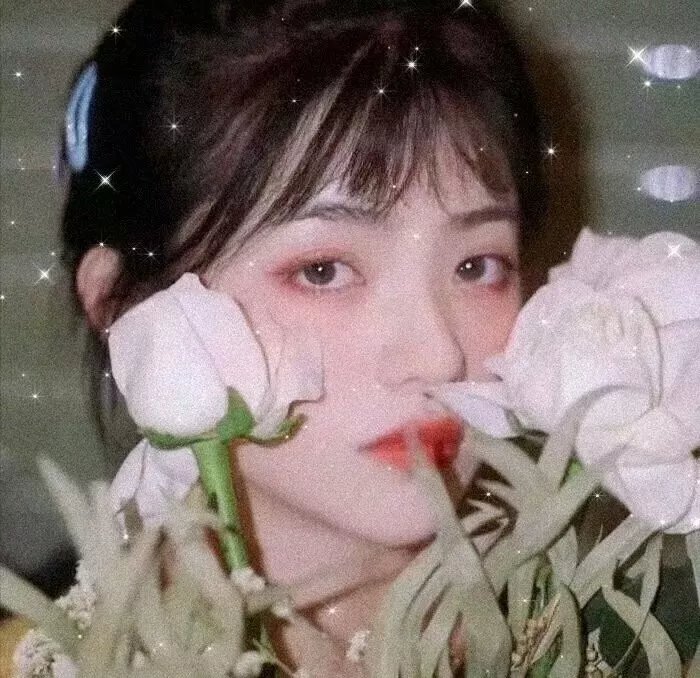 主播拯救世界