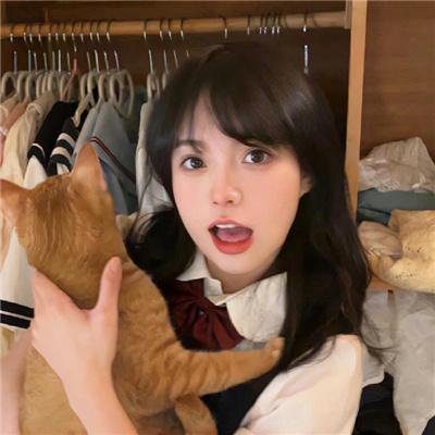 汤姆维特